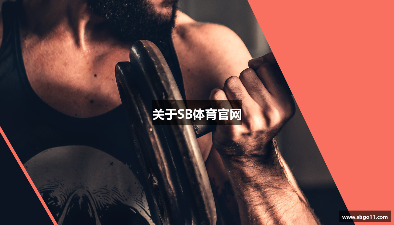 关于SB体育官网
